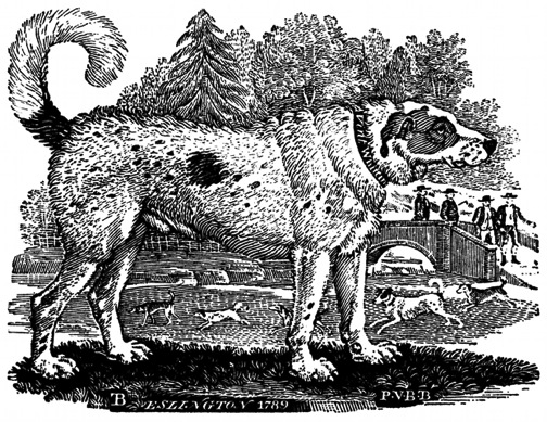 Thomas Bewick, "Newfoundland Dog"